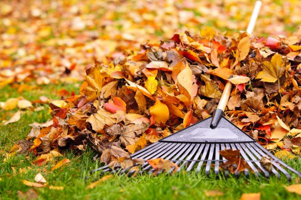 Cost of Fall Lawn Cleanup Service in Vallejo