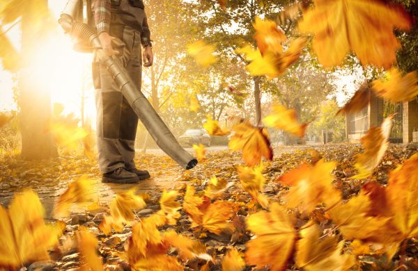 Cost of Leaf Blowing Service in Vallejo