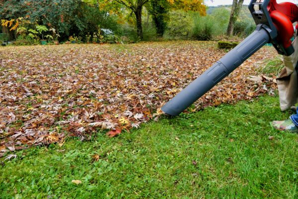 Cost of Leaf Vacuuming Service in Vallejo
