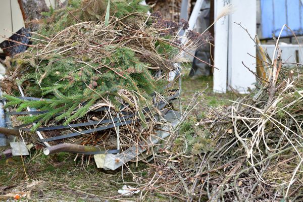 Cost of Yard Debris Removal in Vallejo