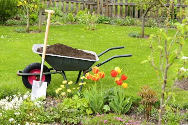 Cost of Spring Yard Cleanup in Vallejo