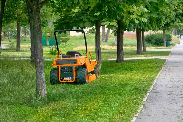Cost of Landscaping Cleanup Service in Vallejo