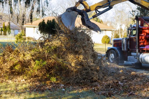 Storm Debris Removal in Vallejo