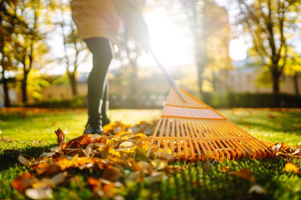 Cost of Leaves Raking in Vallejo
