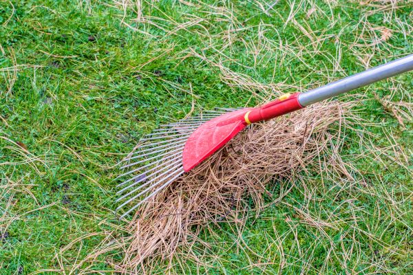 Cost of Yard Raking in Vallejo