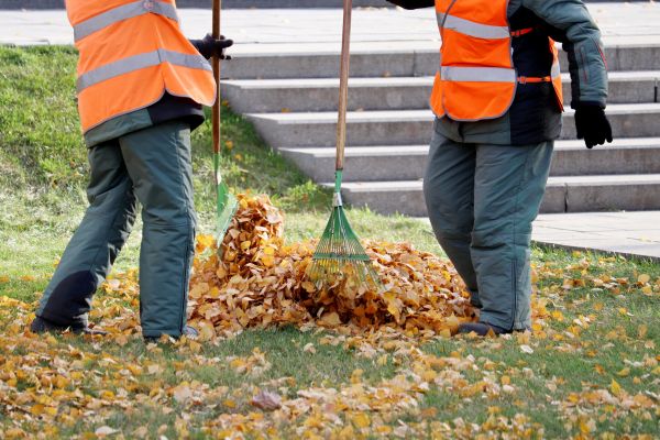 Cost of Leaf Hauling Service in Vallejo