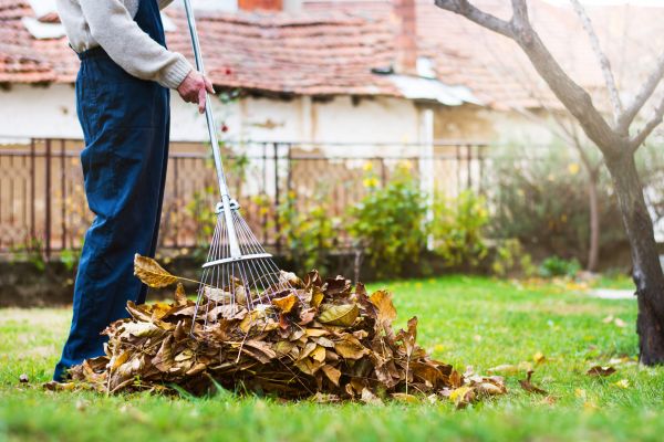 Cost of Fall Yard Cleanup Service in Vallejo