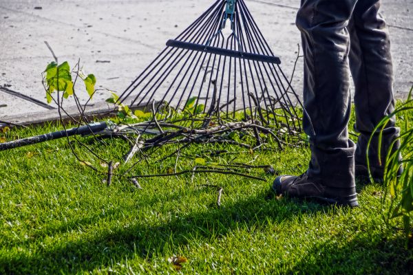 Cost of Yard Debris Cleanup in Vallejo