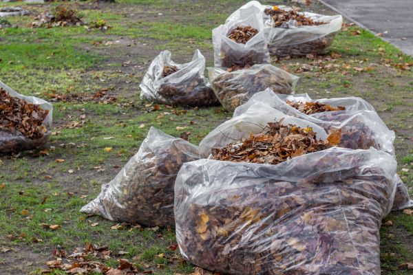 Cost of Leaf Pile Disposal in Vallejo
