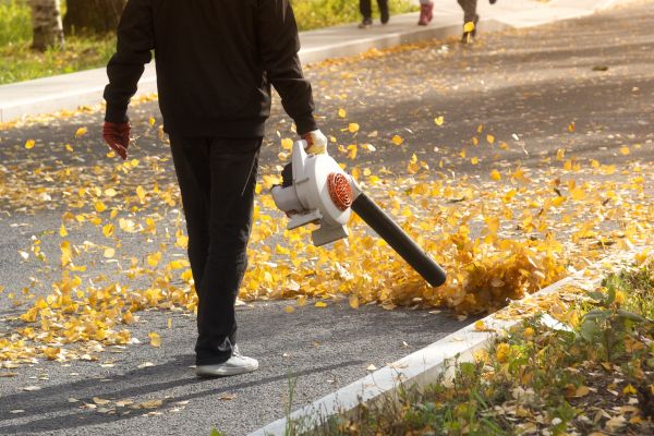 Cost of Commercial Leaf Removal in Vallejo