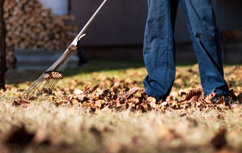 Lawn Raking Techniques